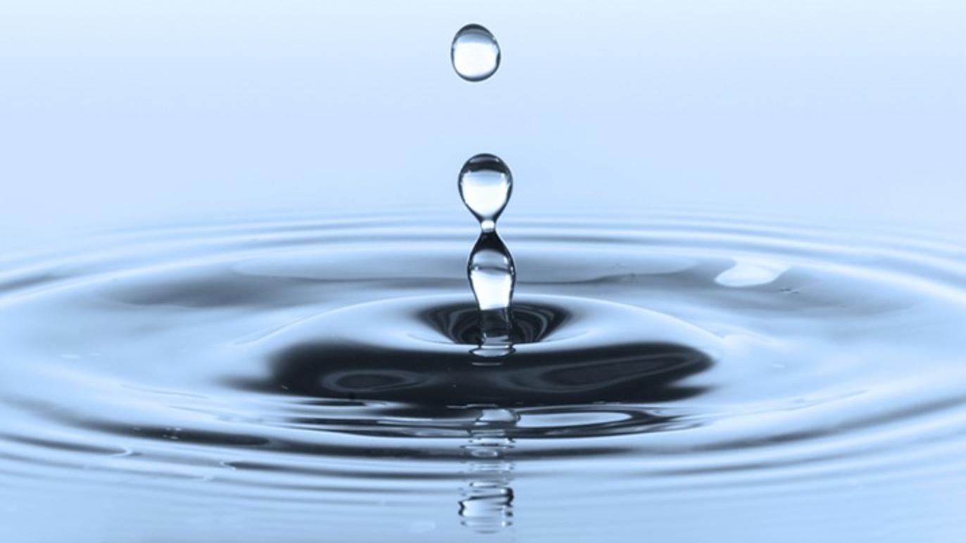 Images Lausten & Co.