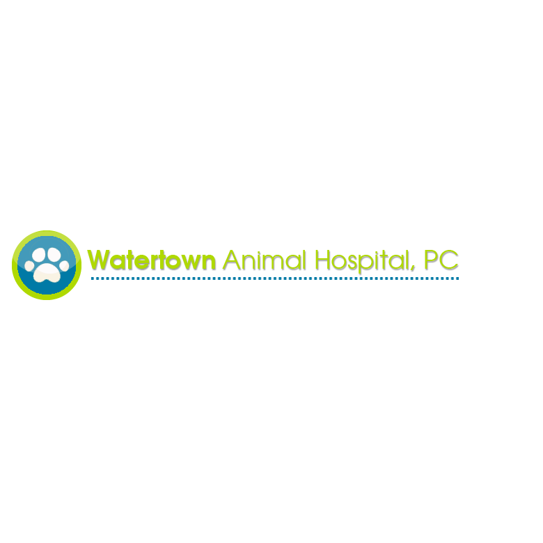 Watertown Animal Hospital Pc Logo