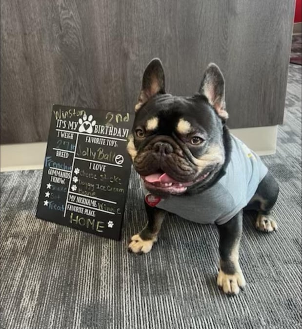 Images Billy Costello - State Farm Insurance Agent