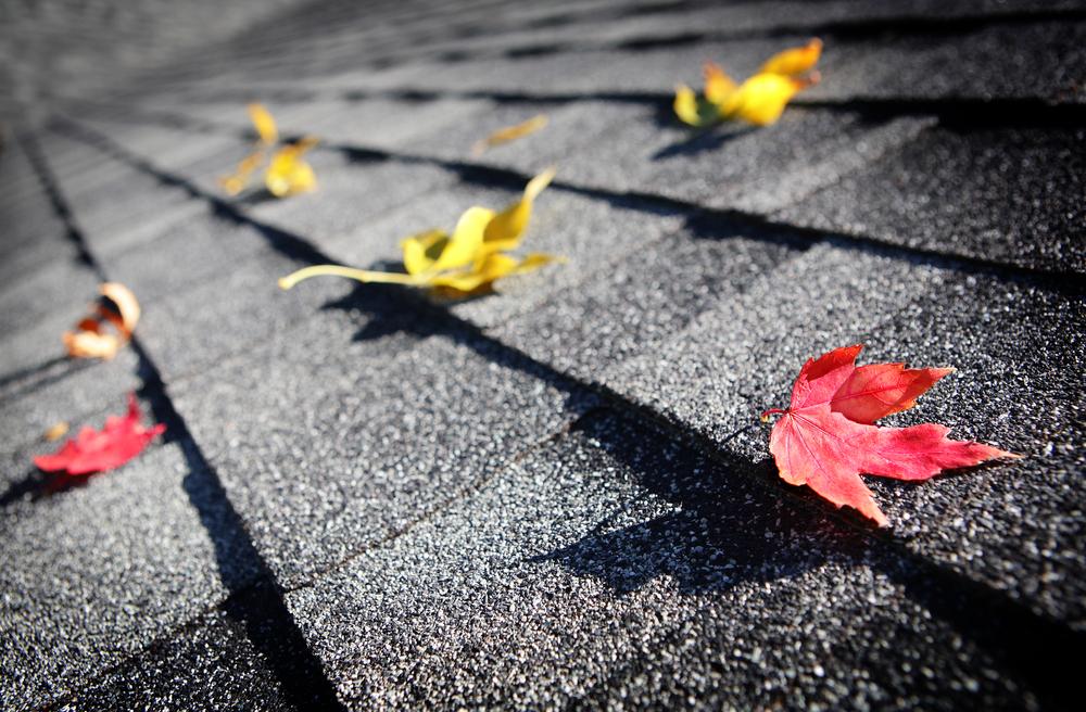 Fall is a great time to have your roof inspected! Richards & Swift Roofing Troy (248)544-3908