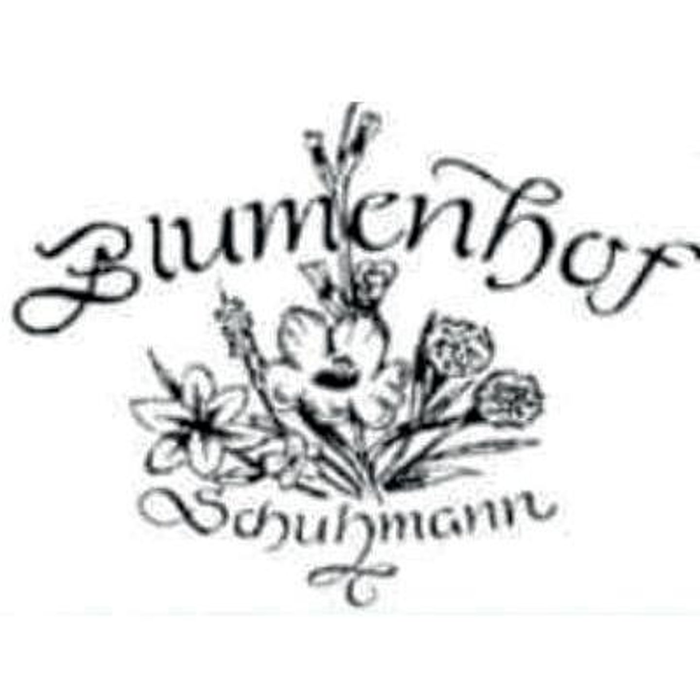 Blumenhof Schuhmann in Großheubach
