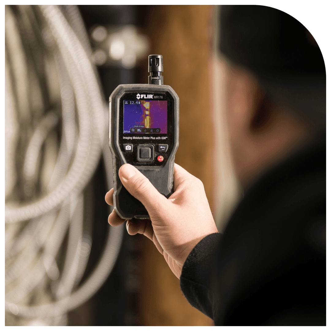 Images Morin inspection