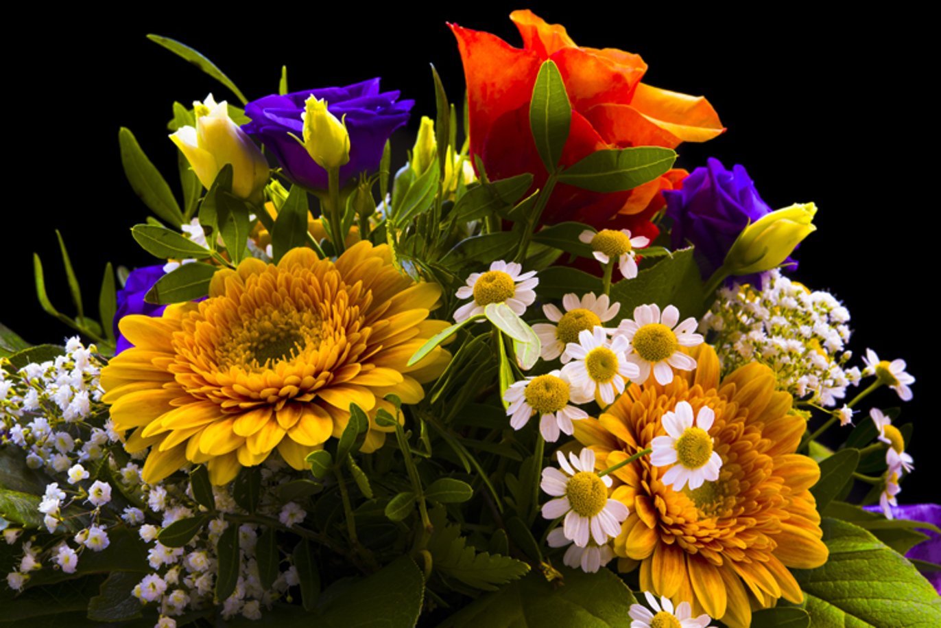 Images Rønnaug's Begravelsesbyrå