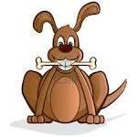 Jensen Beach Animal