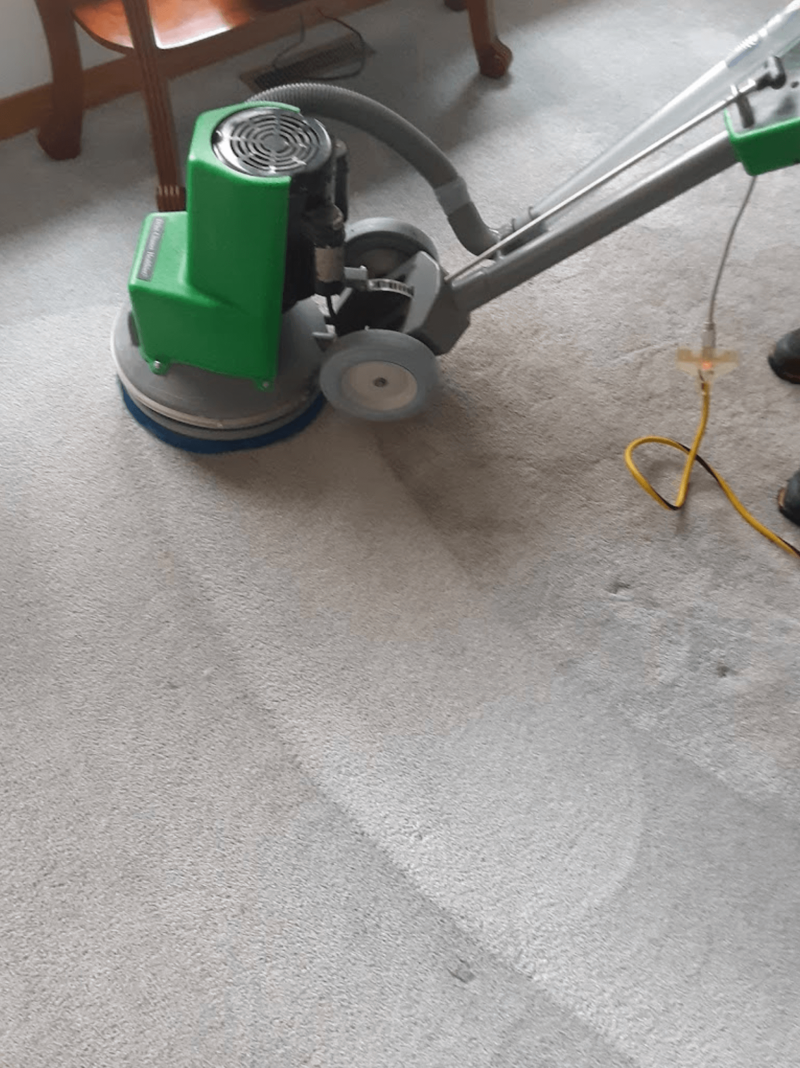 Carpet Cleaning in Fenton, MI