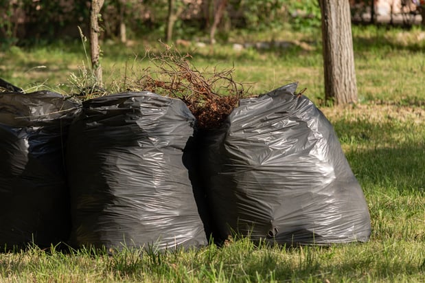 Images Rooted Lawn & Landscape