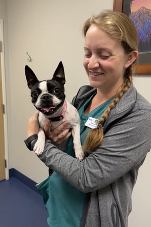 Images VCA Far Country Animal Hospital