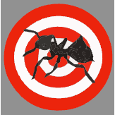 Aim Pest Solutions