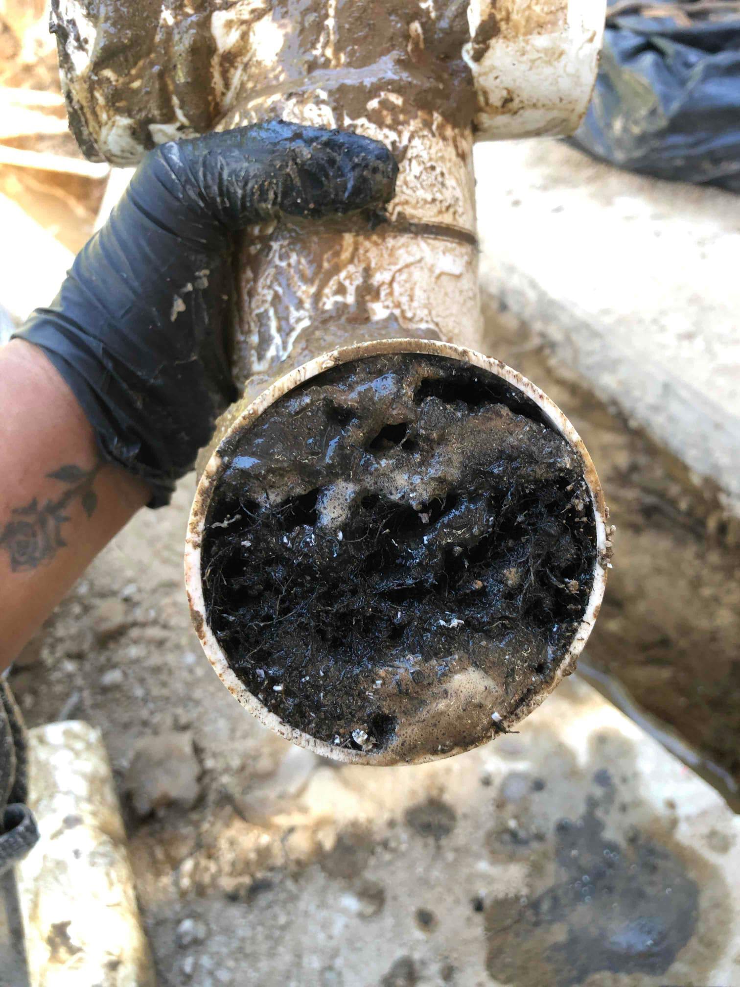 Team Rooter Plumbing - San Diego Image