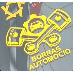 Borras Automociò Logo