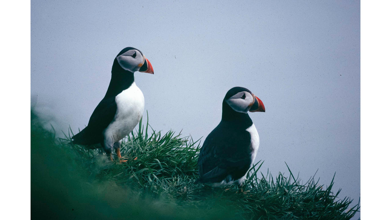 Images Dj Foto och Video - Fotograf Umeå