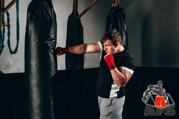 Images Aguirre's Fighting System