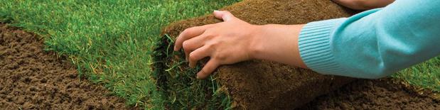 Images W. Hoffman Sod Co