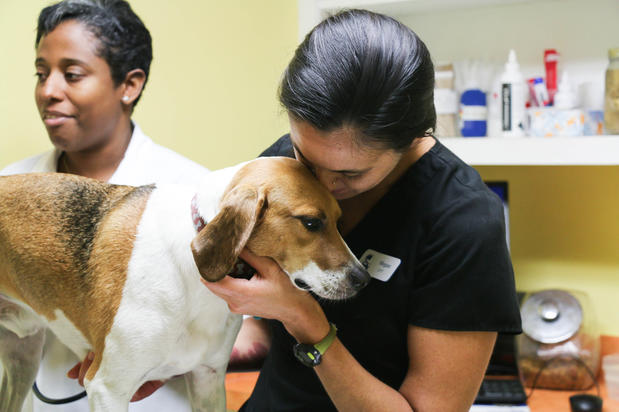 Images The Animal Hospital of North Charleston