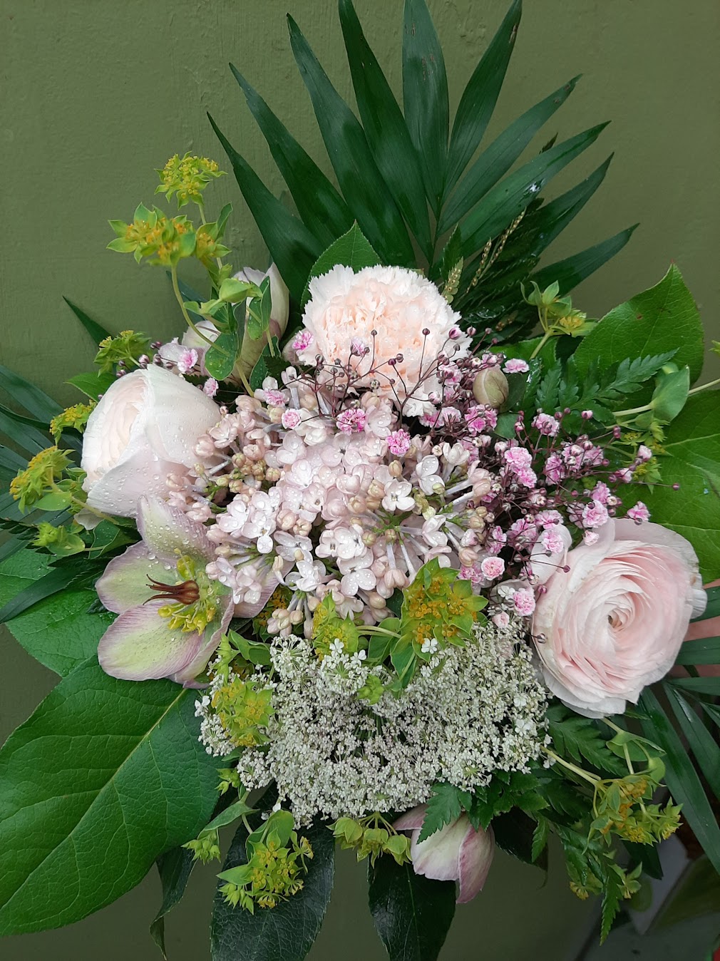 Images Tmi Kukkakauppa Kirsikankukka