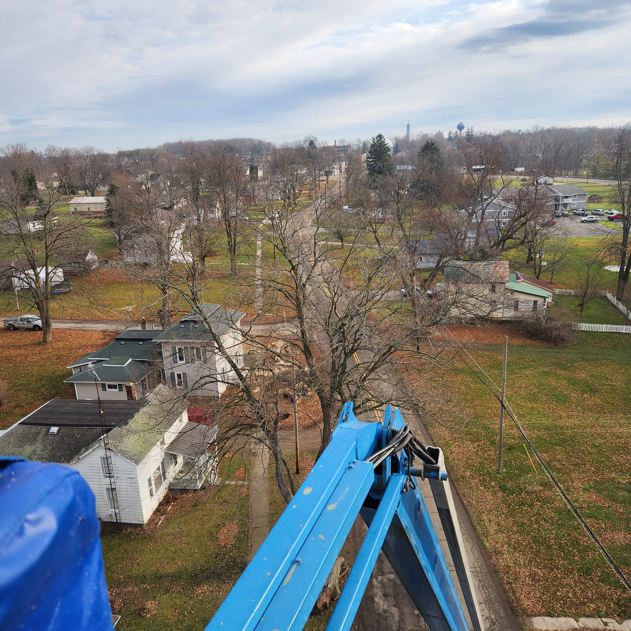 Milks Tree Service Inc Image