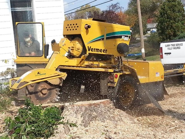 Images Curry Tree Service