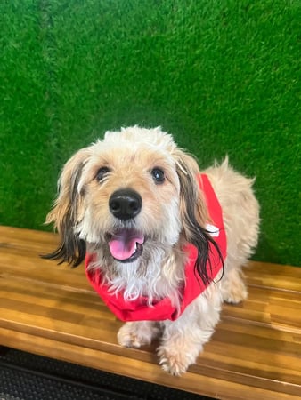 Images Travis Slaydon - State Farm Insurance Agent