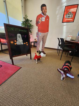 Images Matt Lolley - State Farm Insurance Agent