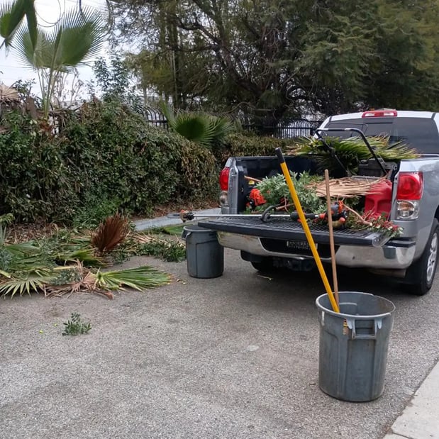 Images Canalez Gardening Service