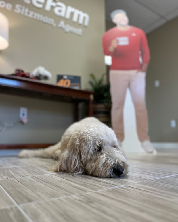 Images Joe Sitzman - State Farm Insurance Agent
