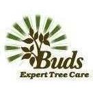 Buds Expert Tree Care, Inc.