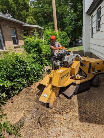 Images Utah Stump Grinding LLC