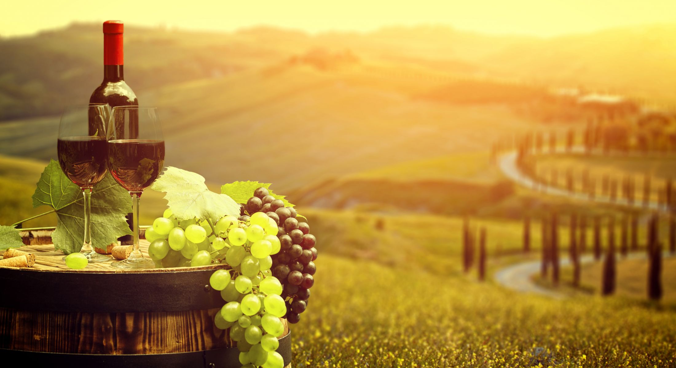 Images Aranyhegyi Borászat