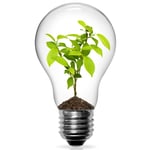 NegaWatt Consulting Logo