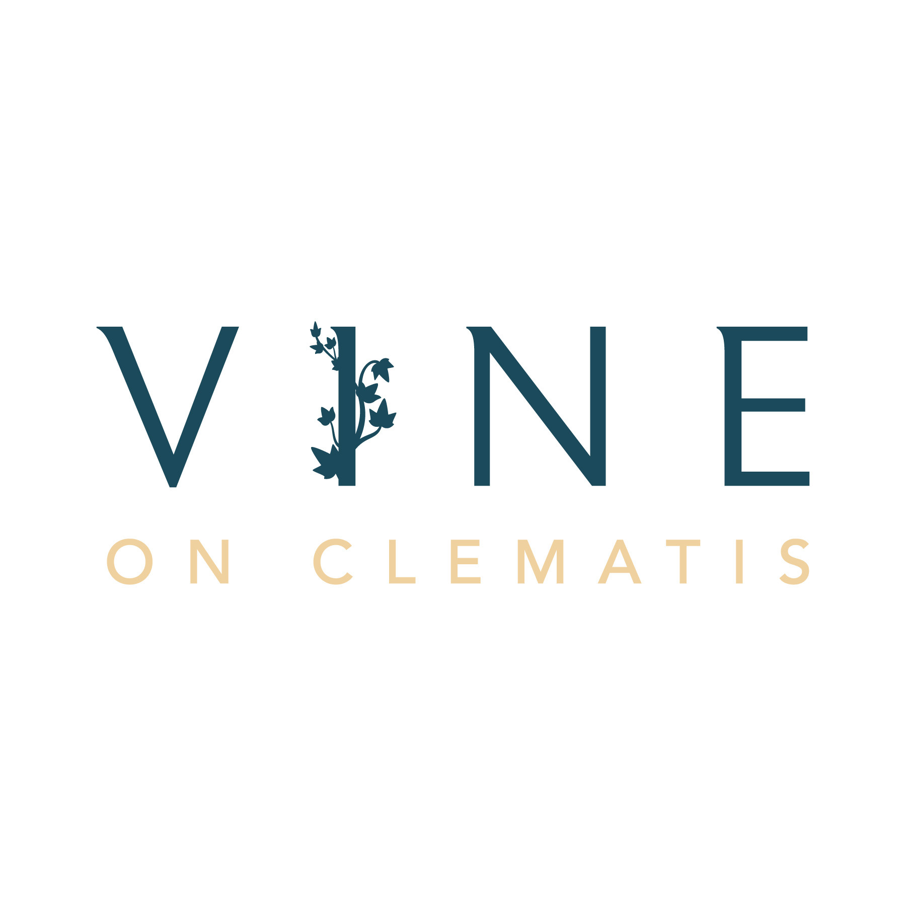 Vine on Clematis