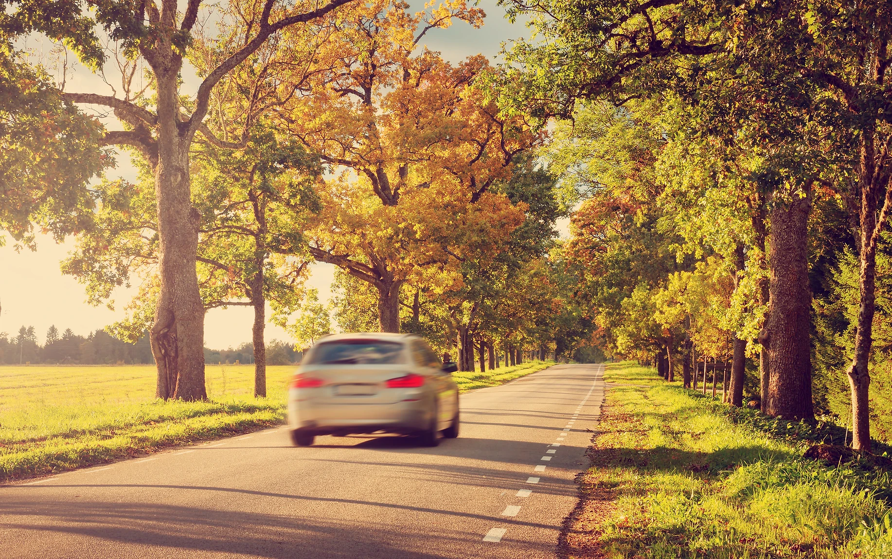 AUTO INSURANCE