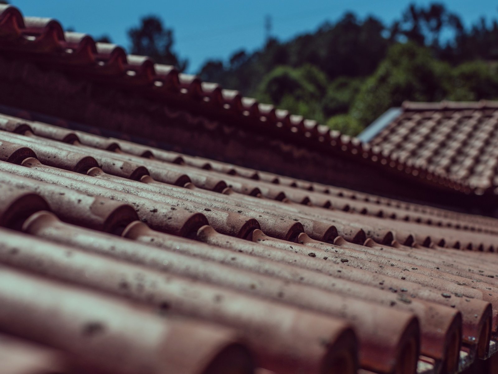 Guaranteed Roofing
