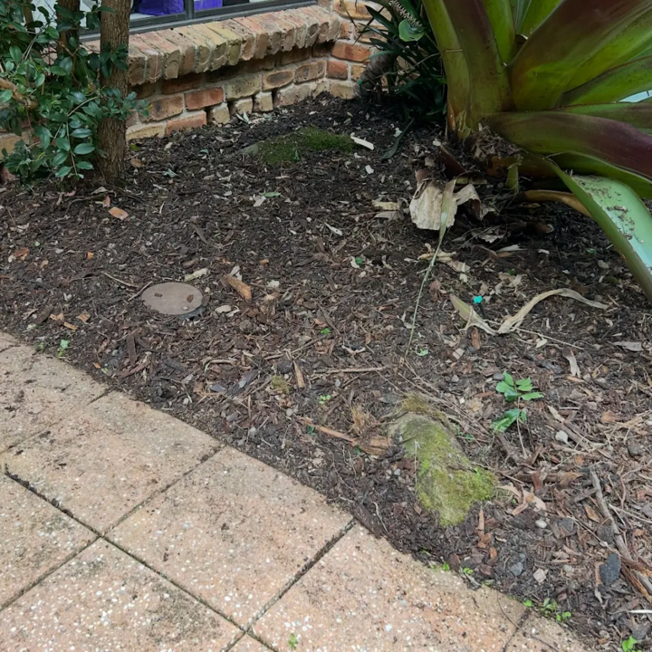 Images Mantle J. E. Pty Ltd