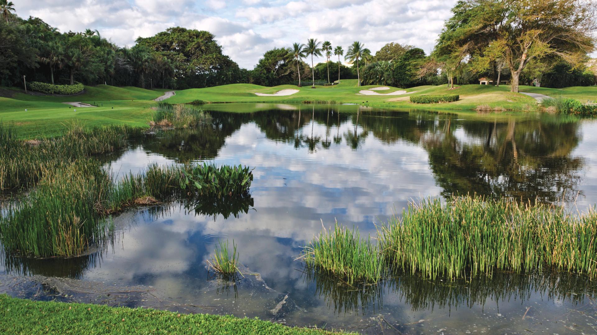 Numerous golf and country club destinations just minutes away