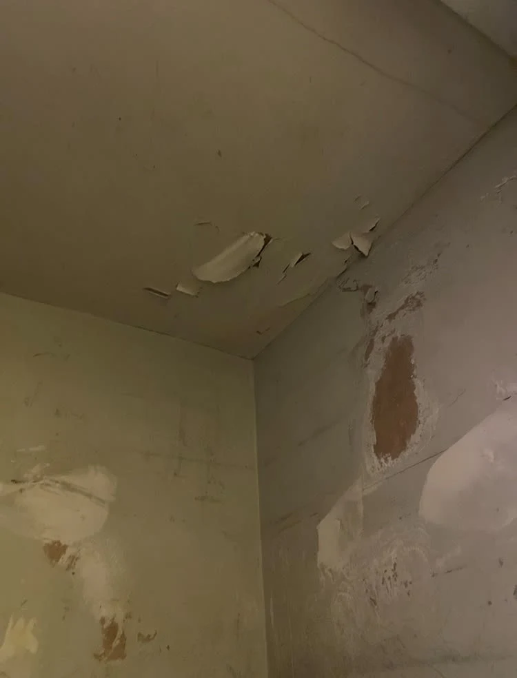 Images Housing Disrepair Experts