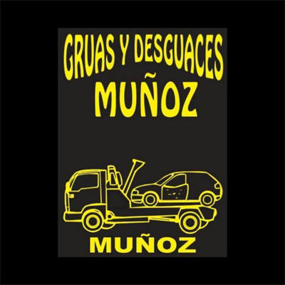 Grúas y Desguaces Muñoz S.L. Segorbe
