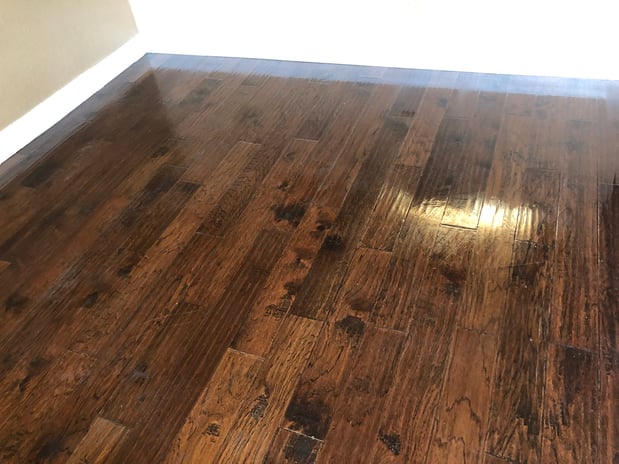 Images Team Steam Truck Mount Carpet Cleaners