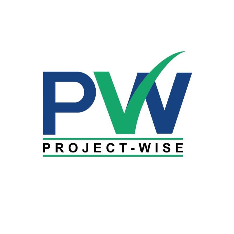 Project Wise Building Services Ltd Logo