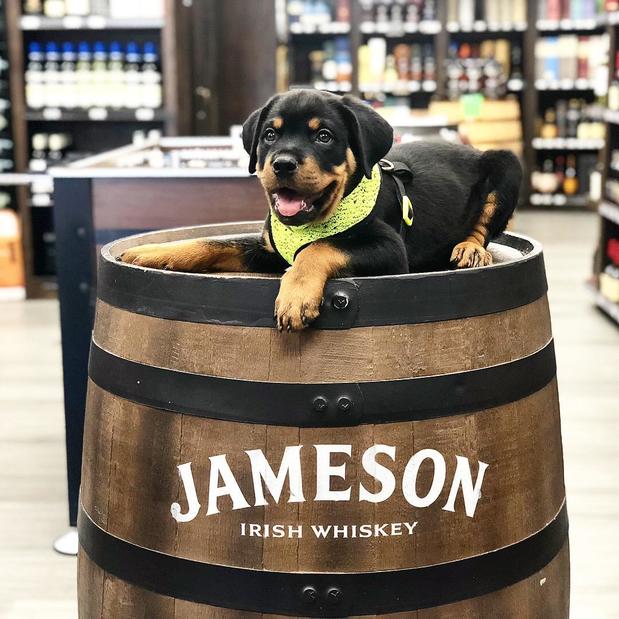 Images Primo Liquors, Fine Wine, and Cigars
