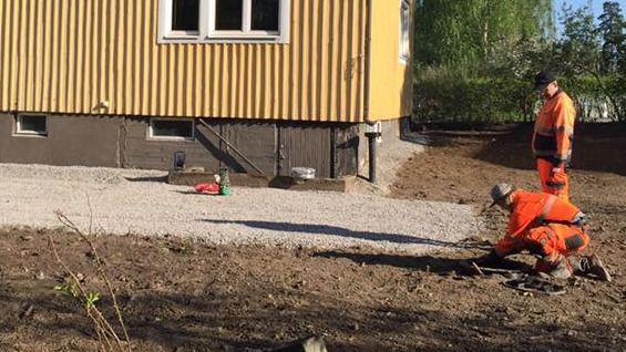 Images Molarum Salaojat Oy