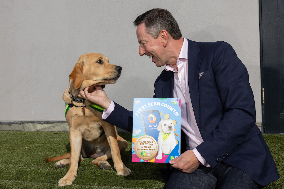 charity-dog