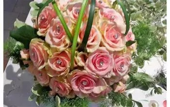 Images Marcella Fiori