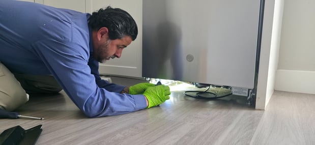 Images American Pest Control