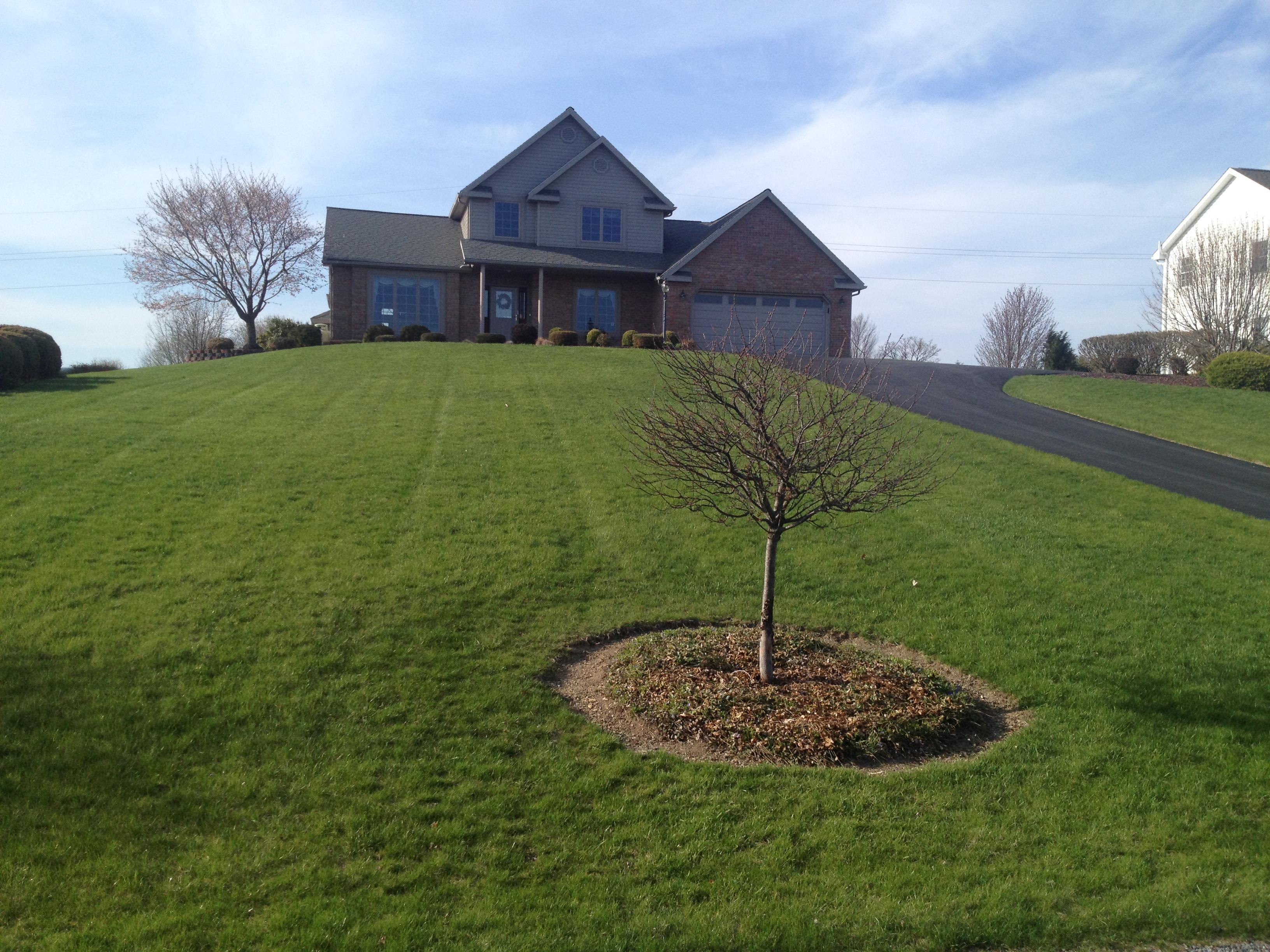 Turf Ranger, Llc