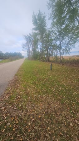 Images Stefanski Tree Service