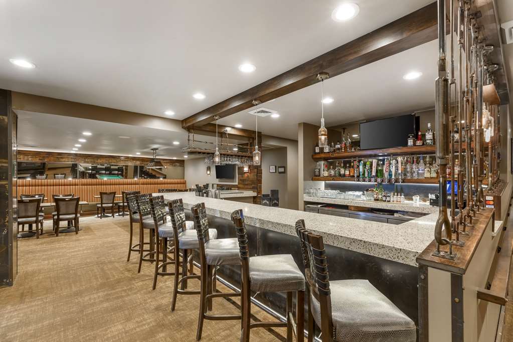 Bar / Lounge