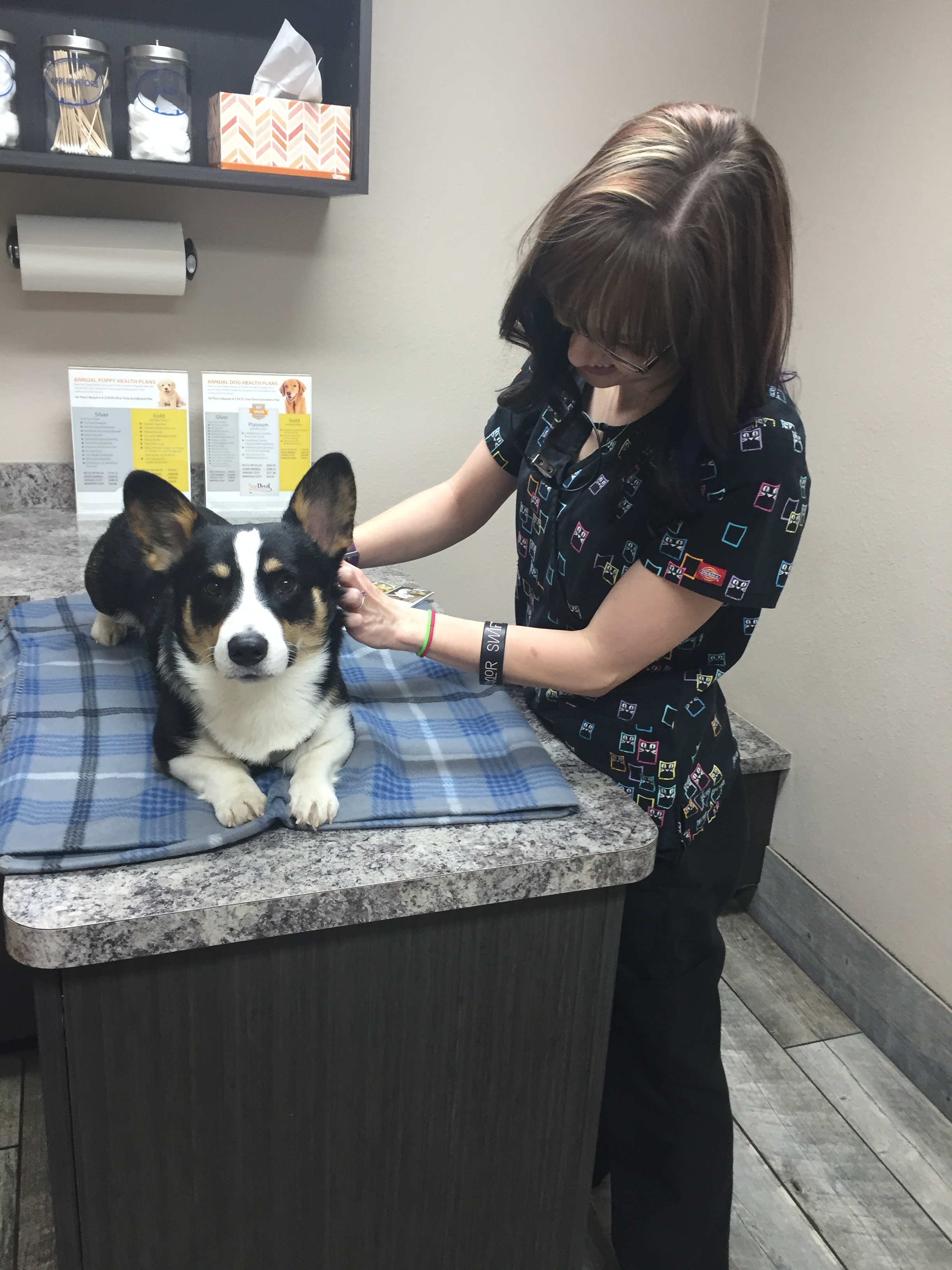 Tempe Lake Veterinary Clinic & Pet Resort Photo