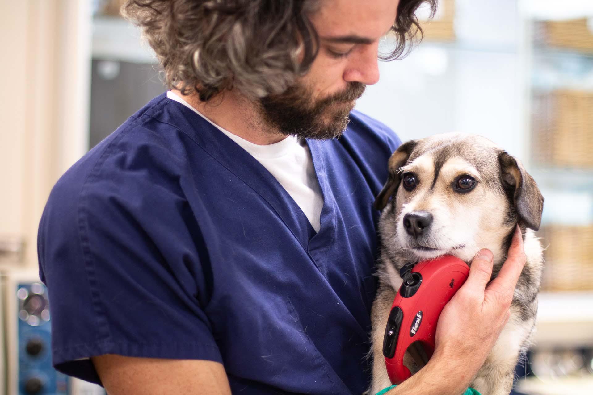 Our technicians are trained to hold our patients so that pet's feel as safe and comfortable as possible.