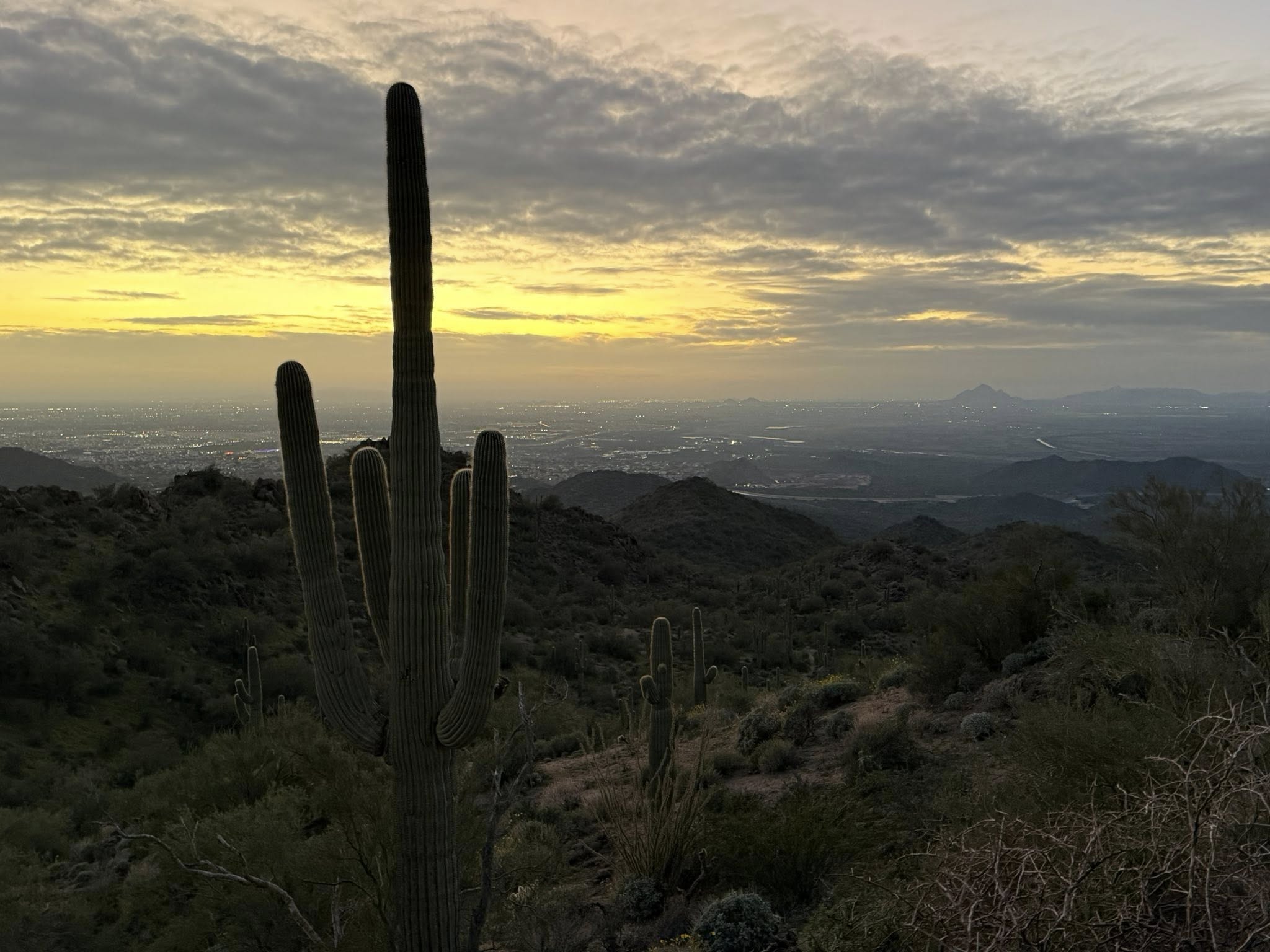 Pam Johnson - State Farm Insurance Agent Image