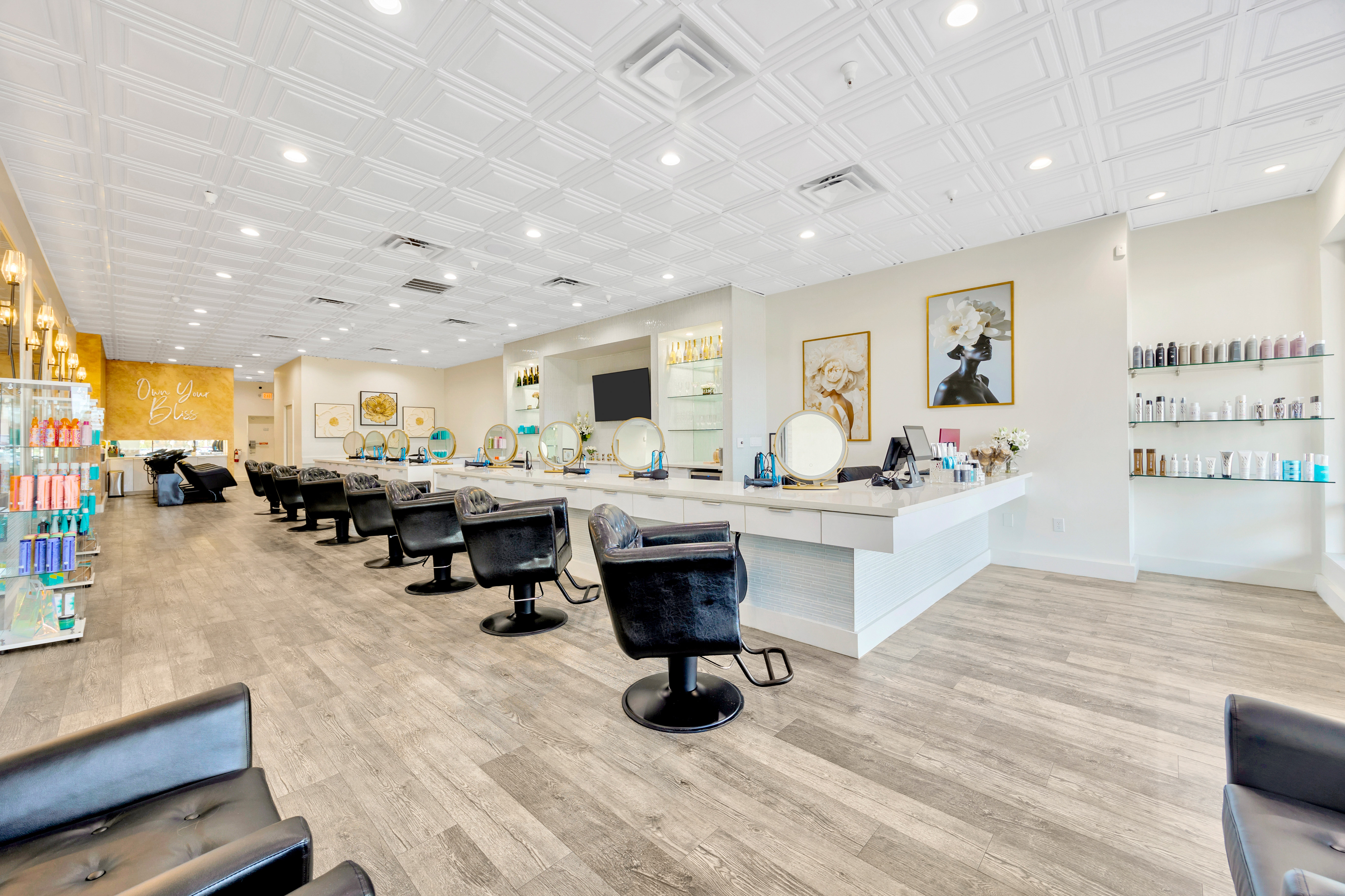Luxury Blow Dry Bar & Hair Salon in Brandon, FL